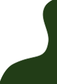 gallery-one-shape
