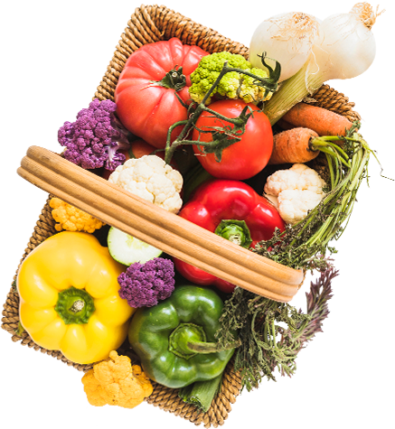 Exporter of the Fresh Vegetables