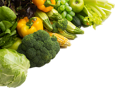 fruits and vegetables exporters from india