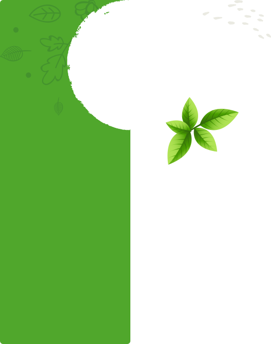background poster of Jenika Enterprise Pvt. Ltd. green