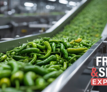 Indian Green Chilli Export to USA