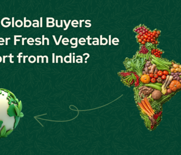 Fresh Vegetable Export from India for Global Buyers
