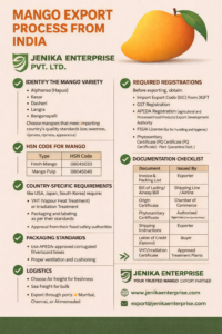 Mango export process from india