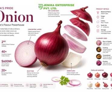 onion export