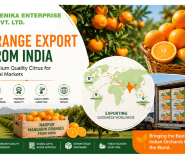 orange export from india